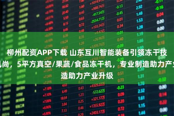 柳州配资APP下载 山东互川智能装备引领冻干技术新风尚，5平方真空/果蔬/食品冻干机，专业制造助力产业升级