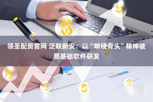 领圣配资官网 泛联新安：以“啃硬骨头”精神破局基础软件研发