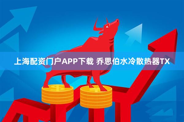 上海配资门户APP下载 乔思伯水冷散热器TX